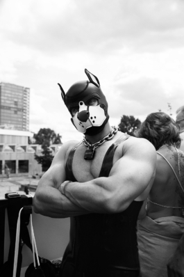Puppy CSD